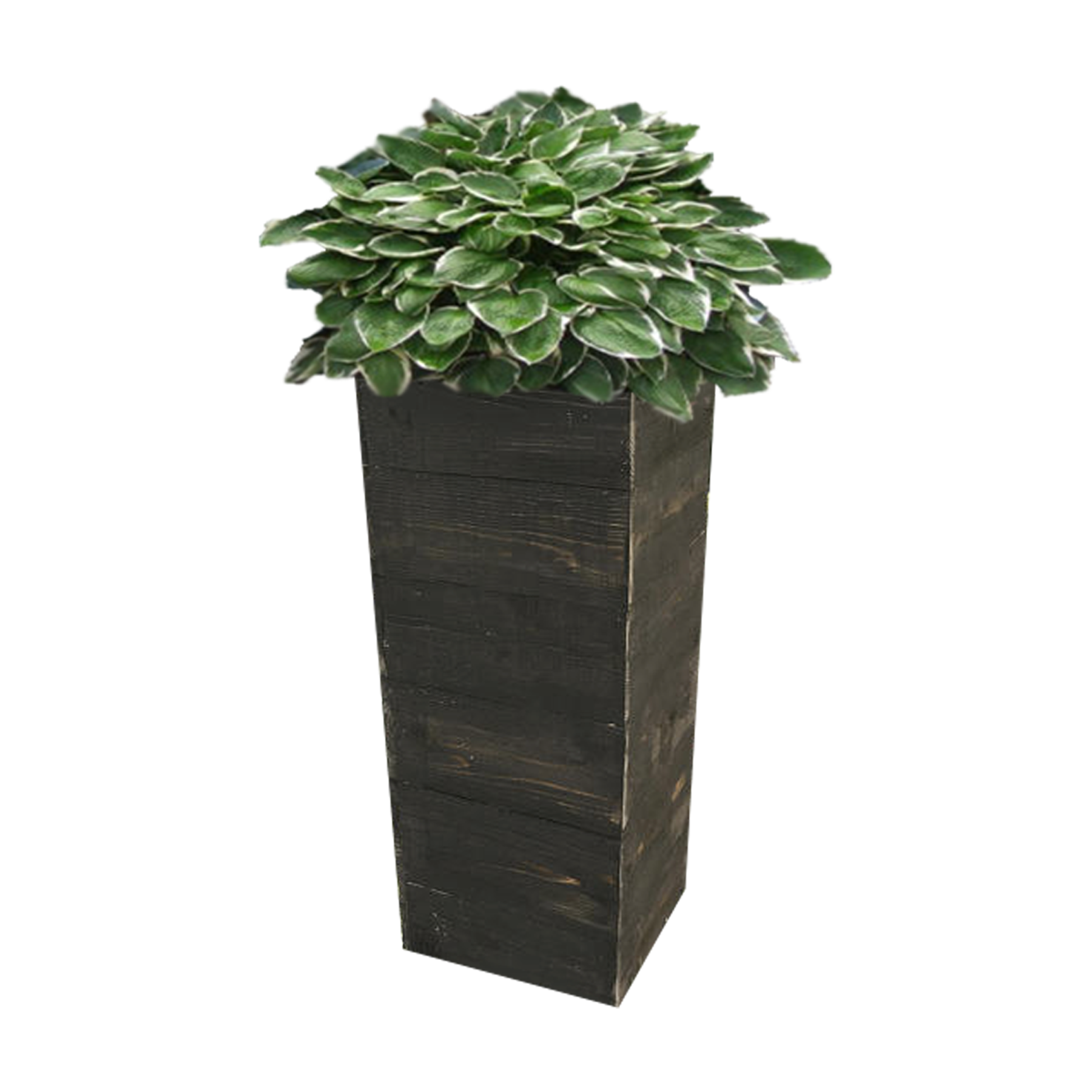 Custom Made Cedar Planter Mocha Natural Charcoal Porch Decor